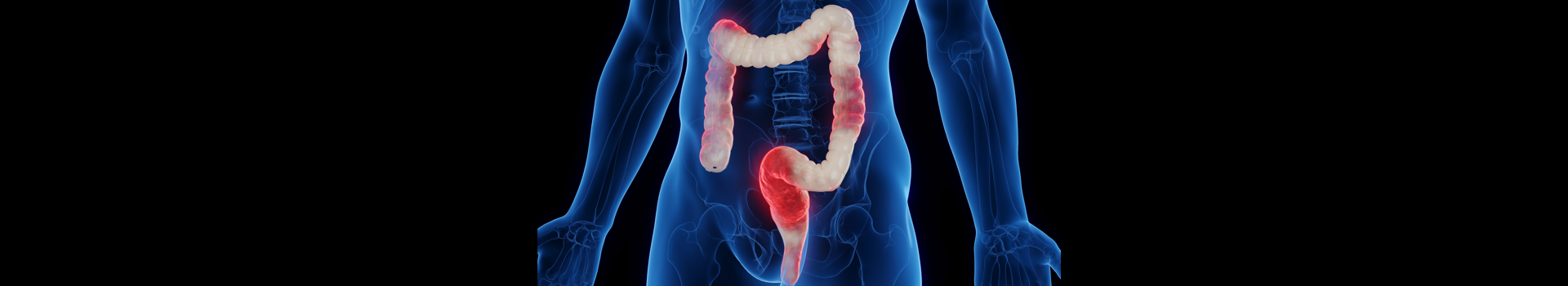 Gut Inc.